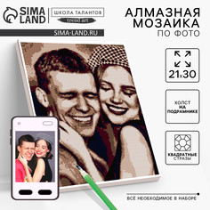 Алмазная мозаика по фото с полным заполнением Школа талантов