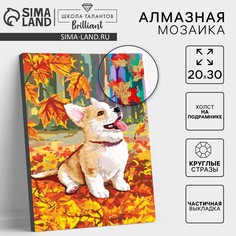 Алмазная мозаика на подрамнике с частичным заполнением Школа талантов