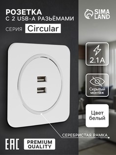 Розетка с 2 usb-a разъемами, 2.1 а, 5 в, серия circular, скрытый монтаж, серебристая рамка No Brand