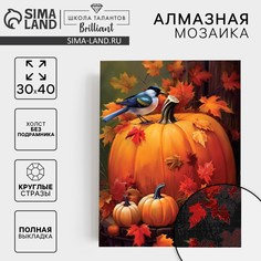 Алмазная мозаика с полным заполнением на холсте Школа талантов