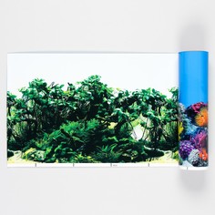 Фон для аквариума двухсторонний, 30 см, рулон 15 м No Brand
