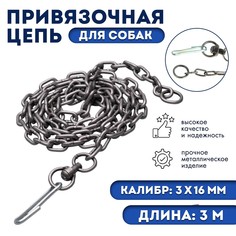 Цепь для привязи собак, 3 м, калибр 3 х 16 мм, черная No Brand