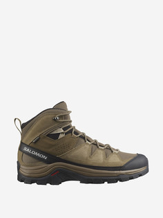 Ботинки мужские Salomon Quest Rove GTX, Бежевый