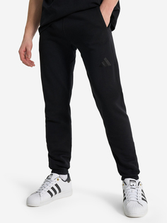 Брюки мужские adidas, Черный