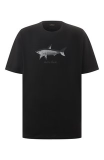 Хлопковая футболка Paul&Shark