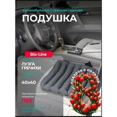 Ортопедическая массажная подушка автомобильная на сидение Bio-Line, с гречневой лузгой, ПВХ нанесением,40х45 см