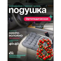 Подушка автомобильная массажная на сидение Bio-Line, 40x40 см, с ПВХ нанесением, мягкая