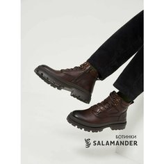 Ботинки дерби Salamander, размер 40, темно-коричневый
