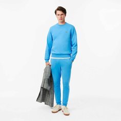 Брюки спортивные LACOSTE, размер T3, cиний