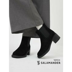 Ботильоны Salamander, размер 41, черный