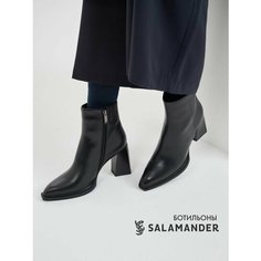 Ботильоны Salamander, размер 39, черный