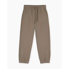 Брюки спортивные Gloria Jeans, размер 4-6л/116, коричневый