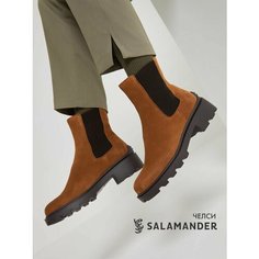 Ботинки челси Salamander, размер 38, светло-коричневый