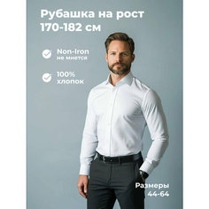 Рубашка Richtrends, размер 37, белый