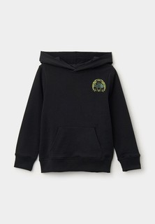 Худи The North Face