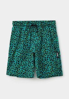 Шорты MSGM Kids