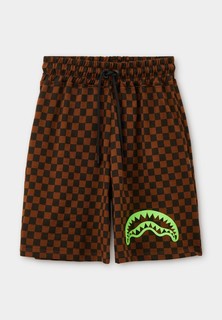 Шорты спортивные Sprayground