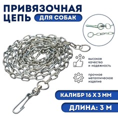 Цепь для привязи собак, 3 м, калибр 3 х 16 мм, белая No Brand