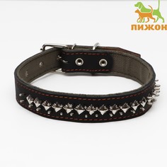 Ошейник комбинированный кожа/брезент Пижон