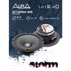 Эстрадная акустика AurA STORM-65
