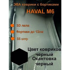 Эва коврики хавал М6 , коврики ева Haval M6 EVA Kovriki 43