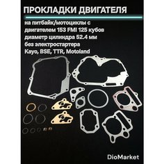 DioMarket Прокладки (полный комплект) на питбайк 153FMI без электростартера
