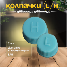 Комплект колпачков сервисного порта авто кондиционера (L/H) Железный век