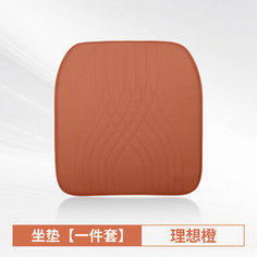 Подушка сиденья General Motors, оранжевая None