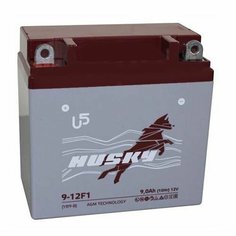 Аккумулятор 12V - 9 А/ч "HUSKY AGM" 9-12F1 (1209.1 YT9B-BS)