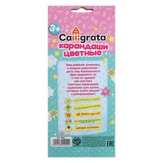 Карандаши цветные 12 цветов Calligrata
