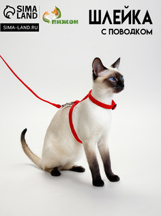 Комплект для кошек, ширина 1 см, ош 16,5-27 см, ог 21-35 см, поводок 120 см, красный Пижон