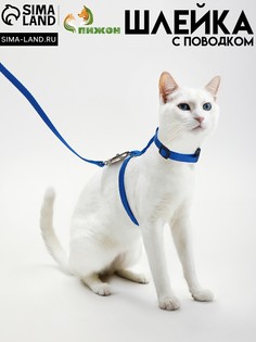 Комплект для кошек, ширина 1 см, ош 16,5-27 см, ог 21-35 см, поводок 120 см, синий Пижон