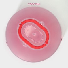 Тортовница с крышкой, съемная подставка для пирожных, 11 ячеек, 30,5×21,5 см, цвет красный Доляна