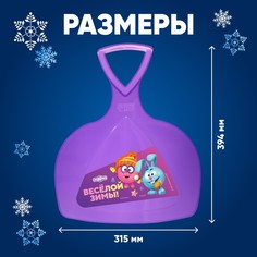 Ледянка смешарики