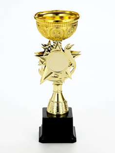 Кубок под нанесение 189, наградная фигура, золото, подставка пластик, 24.8×9×8.8 см Сима ленд