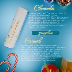 Бальзам для губ новогодний с ароматом мандарина SB Beauty