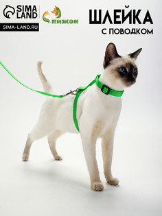 Комплект для кошек, ширина 1,5 см, ош 16,5-27 см, ог 21-35 см, поводок 120 см, зеленый Пижон