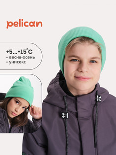 Шапка Pelican