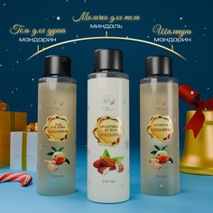 Новогодний подарочный набор косметики SB Beauty