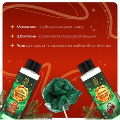 Новогодний подарочный набор косметики SB Beauty