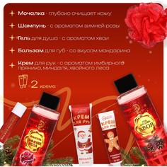 Новогодний подарочный набор косметики SB Beauty
