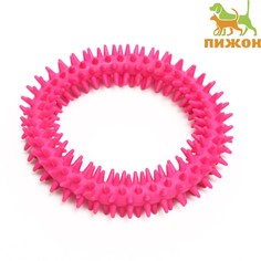 Игрушка для собак Пижон