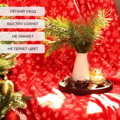 Плед Экономь и Я