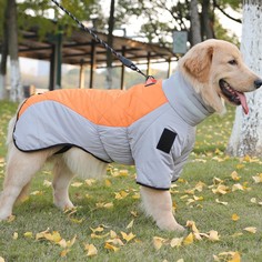 Куртка для больших собак, мембрана, 4xl (дс 55, ош 53, ог 73см),серо-оранжевая Пижон
