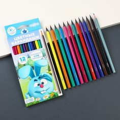Цветные карандаши, 12 цветов, трехгранные, смешарики