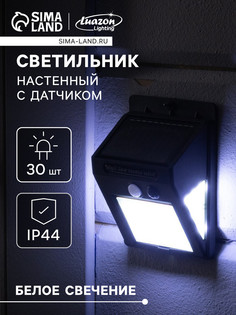 Садовый светильник на солнечной батарее с датчиком движения, накладной, 30 led, свечение белое Luazon Lighting