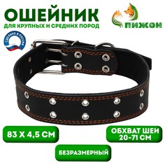 Ошейник кожаный на синтепоне, безразмерный, 83 х 4.5 см, ош 20-71 см, черный Пижон