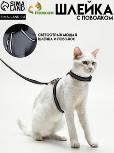 Комплект для кошек светоотражающий,ширина 1 см,шлейка 21-35 см,поводок 120 см, черный Пижон