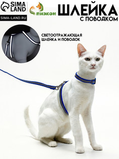 Комплект для кошек светоотражающий,ширина 1 см,шлейка 21-35 см,поводок 120 см, синий Пижон