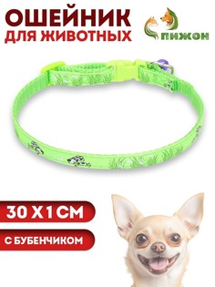 Ошейник Пижон